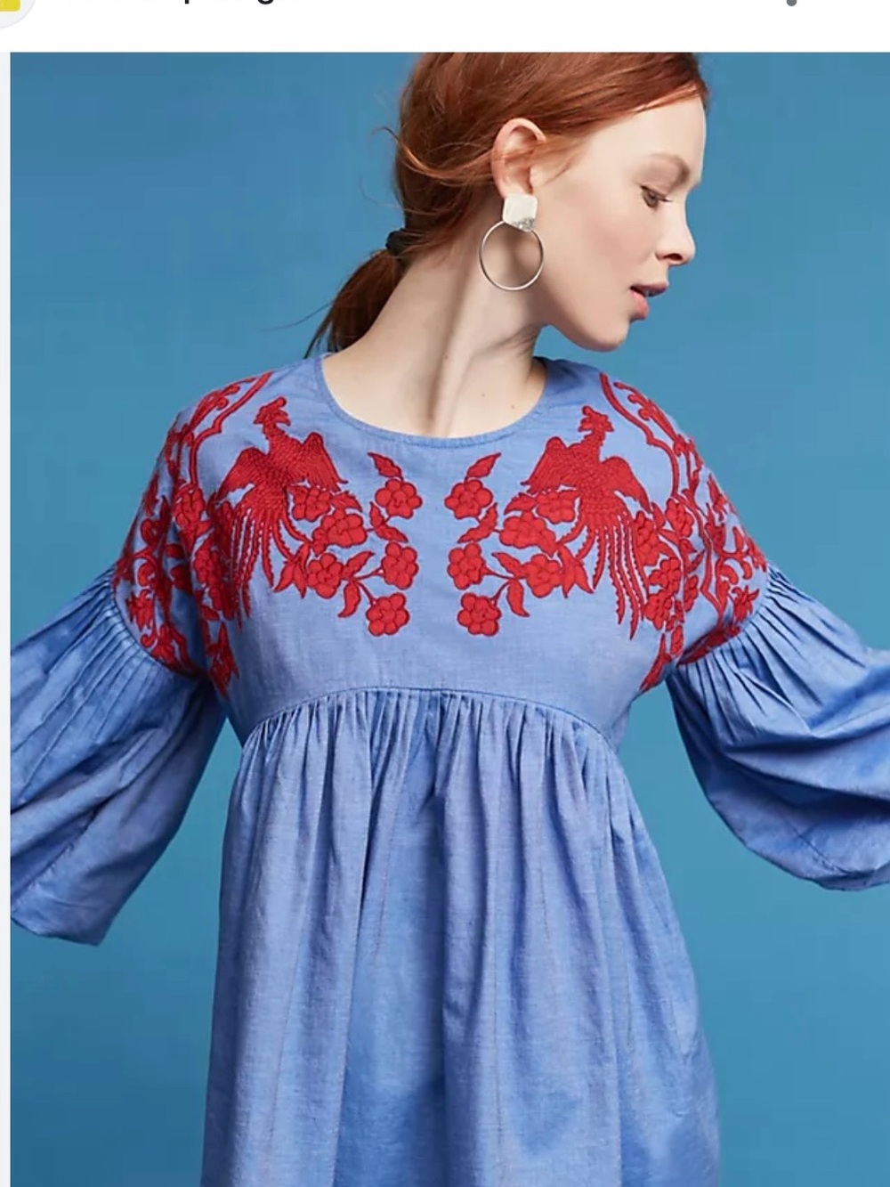 HEMANT & NANDITA Blue Tunic with Red Embroidered Birds